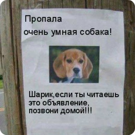 Катя Лысакова | Покров / Орджоникидзе