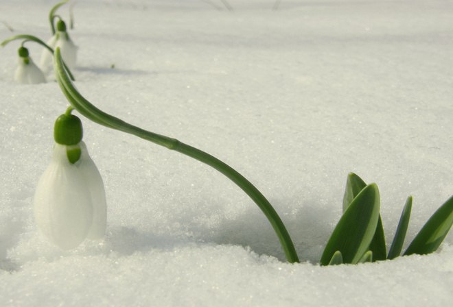 Іван Іванов | 