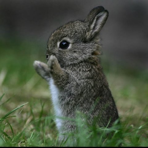 Игорь Чернилевский | Киев