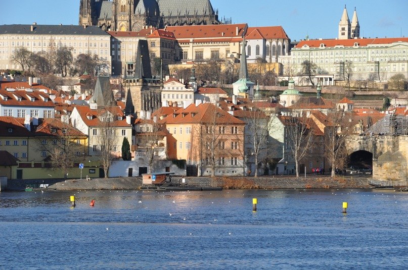 Наталья Гусева | Москва