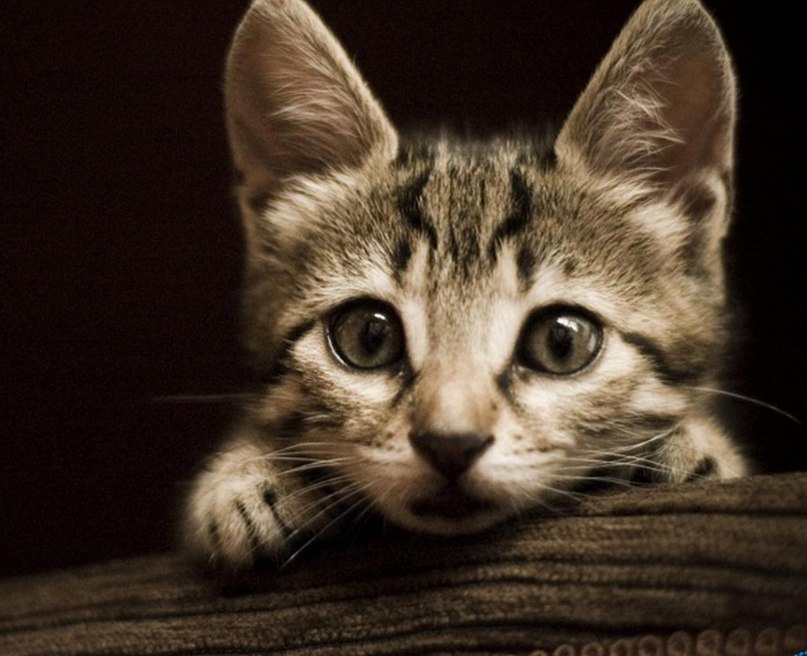 Оля Лазарева | Москва