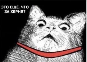 Галина Сливкина | 