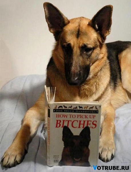 Тимур Лебедев | Москва