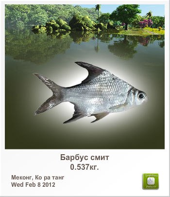 Андрей Дуненков | Санкт-Петербург