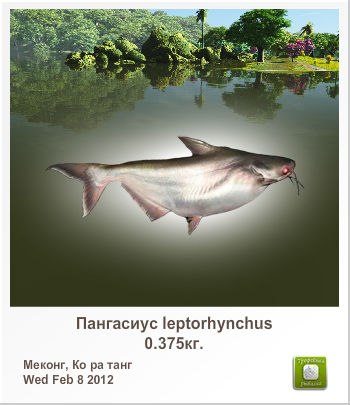 Андрей Дуненков | Санкт-Петербург