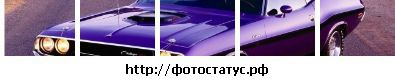 Фотография Nazar Чіх