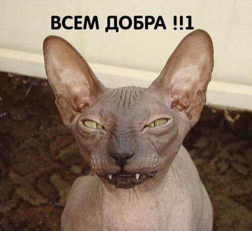 Макс Руби | Limassol