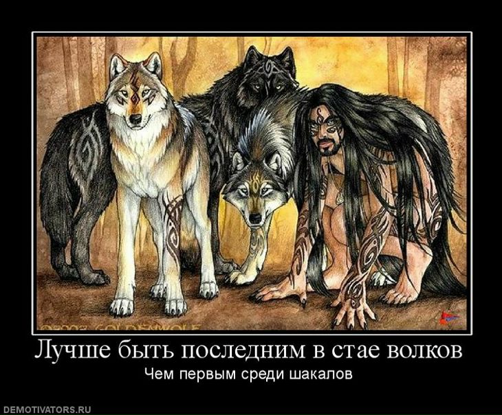 №85, Евгений Гусев, 37 лет, Кострома №85, Евгений Гусев, 37 лет, Кострома