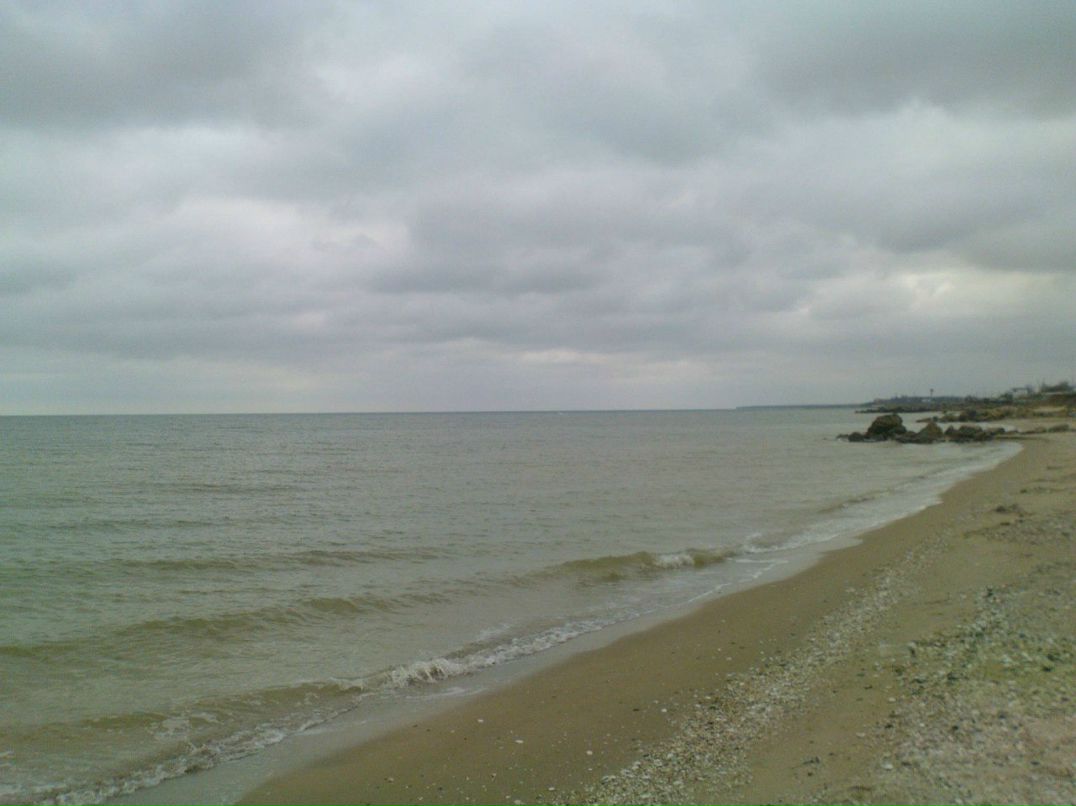 Димон Гончаров | Marbella