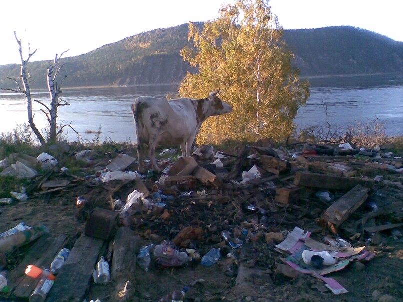 Надежда Мутовина | Красноярск