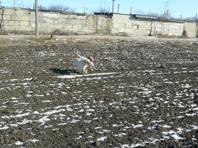 Инна Ошовская | Одесса