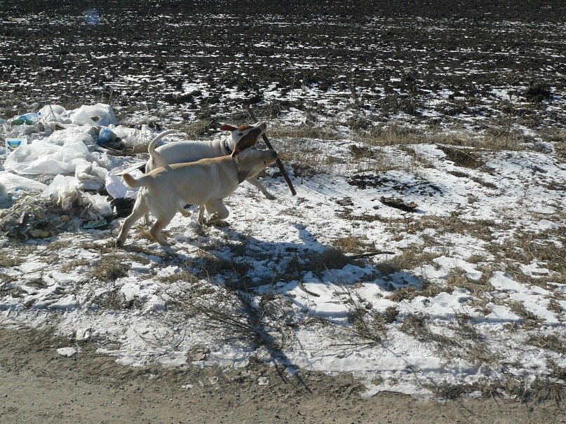 Инна Ошовская | Одесса