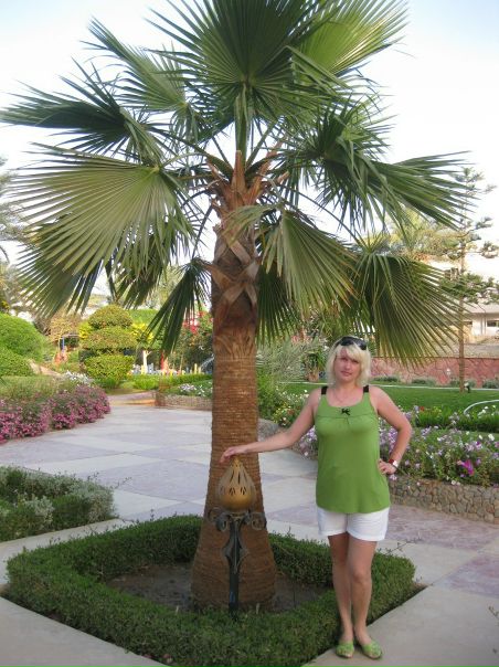 №4, Алла Соколова №4, Алла Соколова