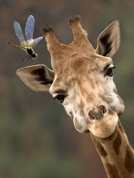 №189, Сірьожа Загарюк, 33 года, Черновцы №189, Сірьожа Загарюк, 33 года, Черновцы