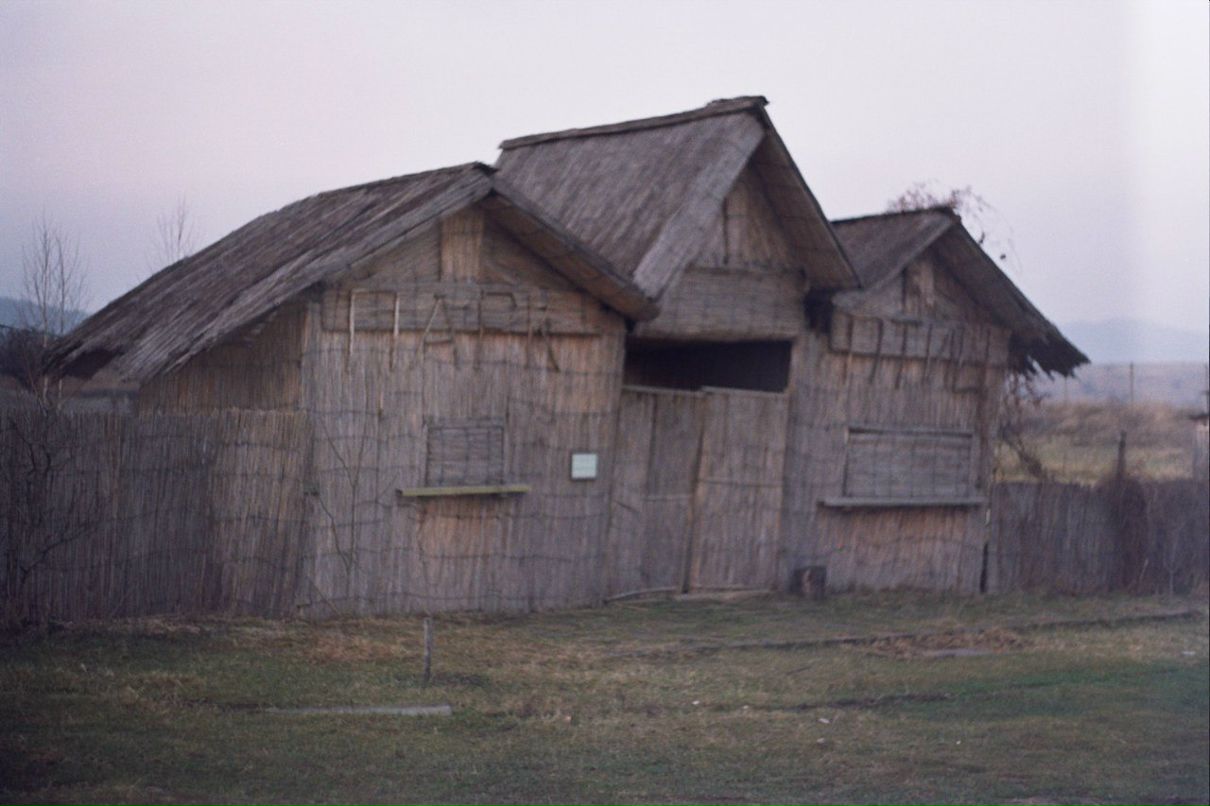 Екатерина Кузнецова ♂♀ | 