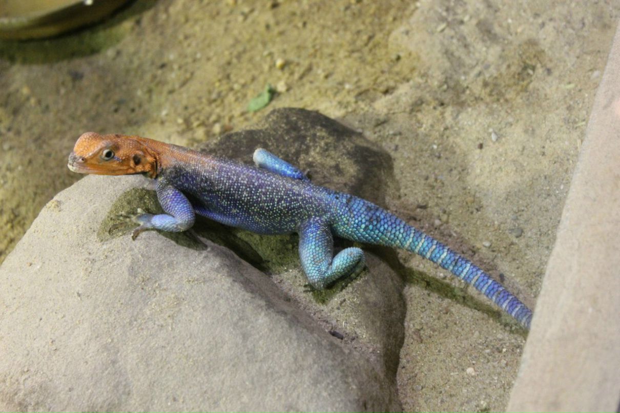 Кирилл Смирнов | Санкт-Петербург