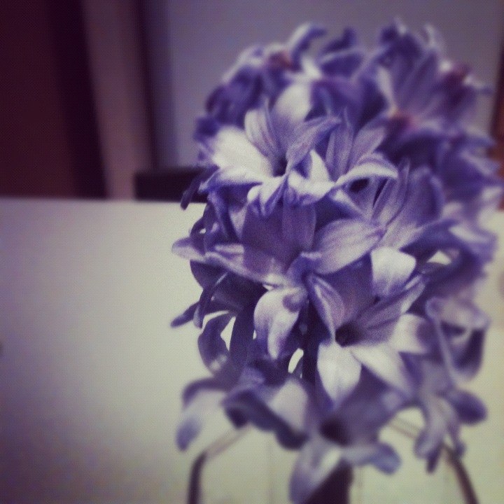 Оля Бурмистрова | Санкт-Петербург