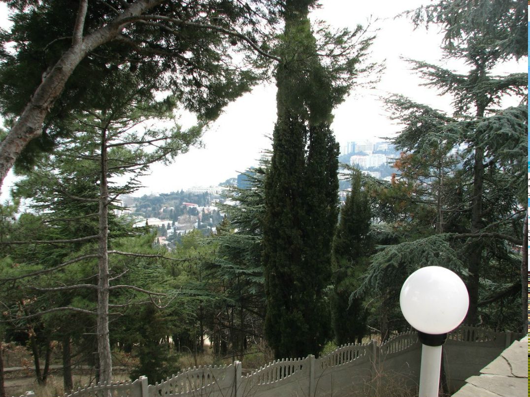 Тамара Ямпольская | Ивано-Франковск