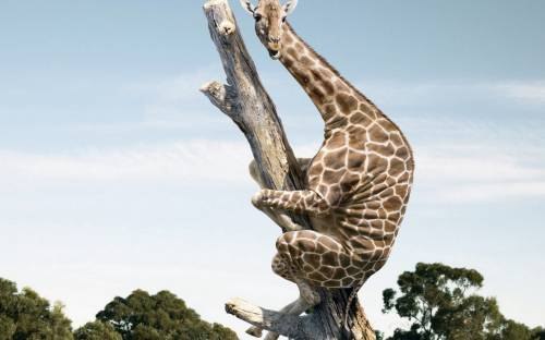 Саша Грудина | Златоуст