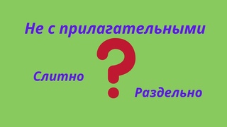 Правописание НЕ с прилагательными. Слитное и раздельное написание НЕ с прилагательными.