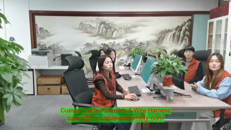 Cable Harness Manufacturer Custom LVDS Cable EDP Cabel Assembly LVDS cable for industrial