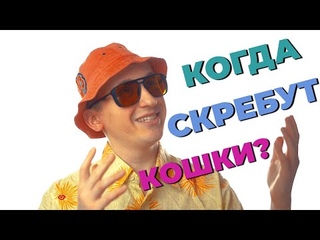 Живите радостно каждое мгновение, с помощью разума! (Ведическая мудрость)