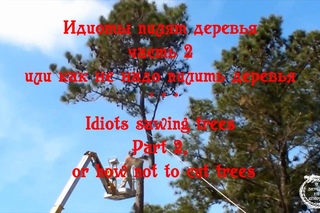 Идиоты пилят деревья часть 2 или как не надо пилить деревья