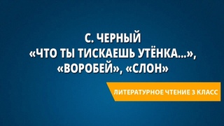 С. Черный Что ты тискаешь утёнка..., Воробей, Слон