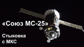 Союз МС-25 стыкуется к МКС