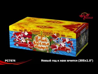 РС7974 Новый год к нам мчится (1,0х 305)
