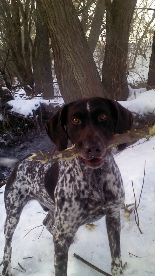 Сергей Слободенюк Юрьевич | Белгород-Днестровский