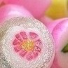 Алиса Ким | Волгоград