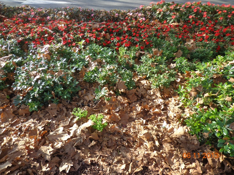 Марина Колчина | Воронеж