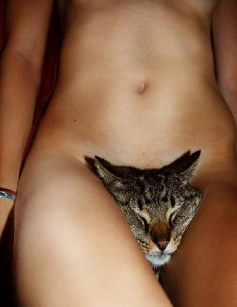 Алла Полякова | Киев