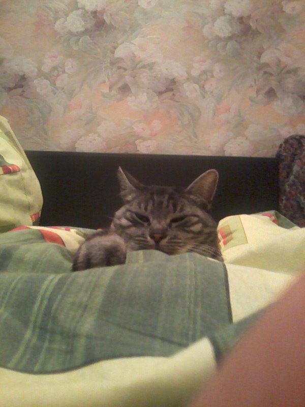 Таня Лебедева |