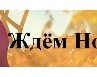 Алина Алфёрова |