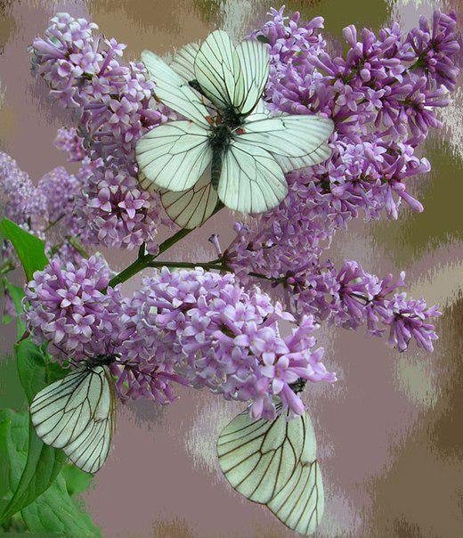 Татьяна Степанова | Казань