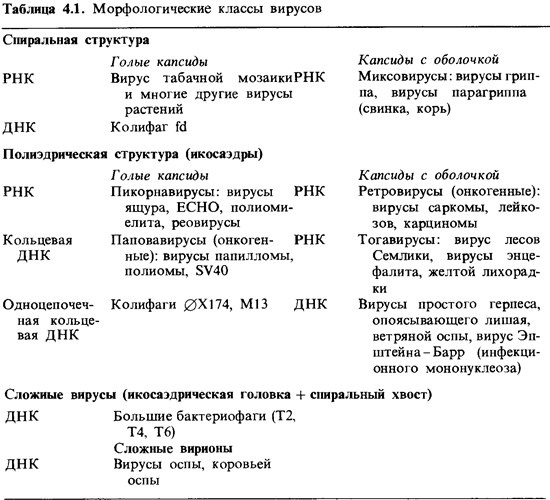 Заполните таблицу вирусы