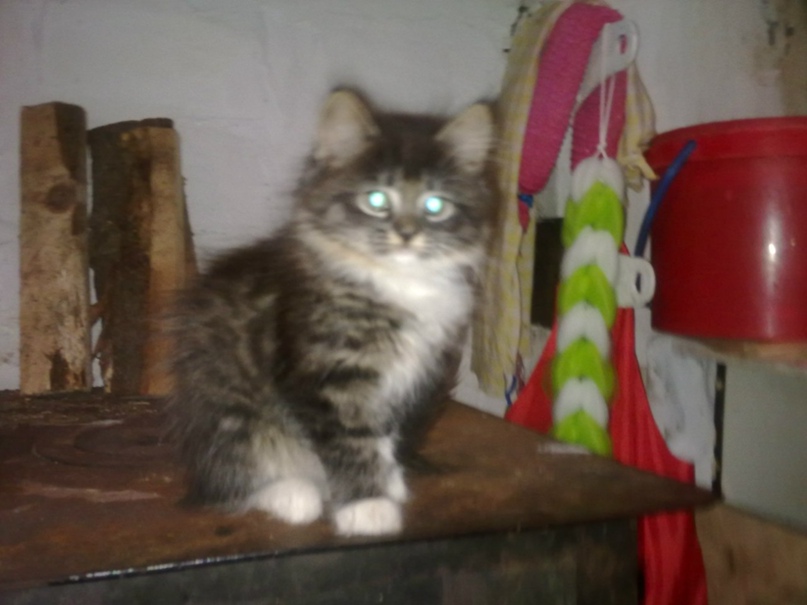 Вера Мельникова | Санкт-Петербург