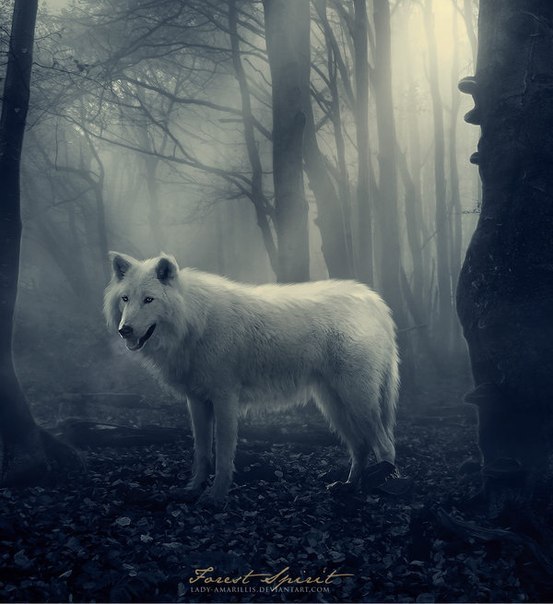 Анастасия Кузнецова | Екатеринбург