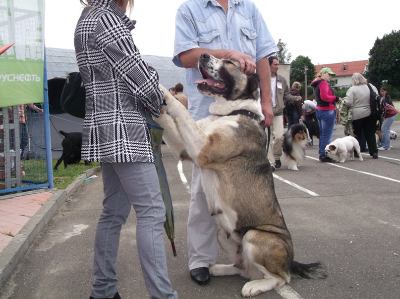 Ольга Бутенко | Минск