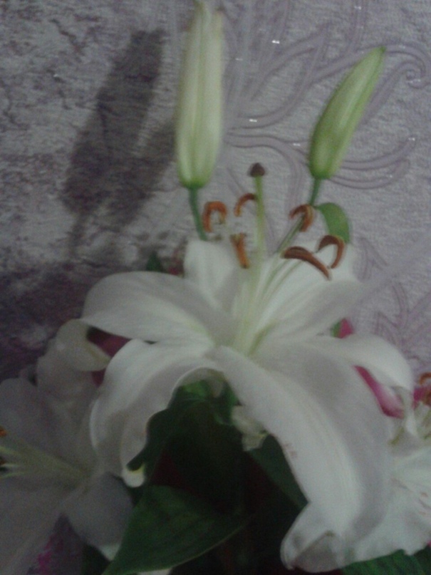 Екатерина Садыкова Сергеевна | Ишимбай