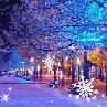 Екатерина Мишарина | Сыктывкар