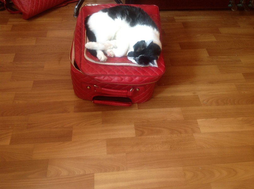 Лариса Еременко | Юнокоммунаровск