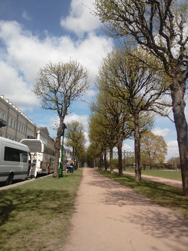 Мария Ромашина | Брянск