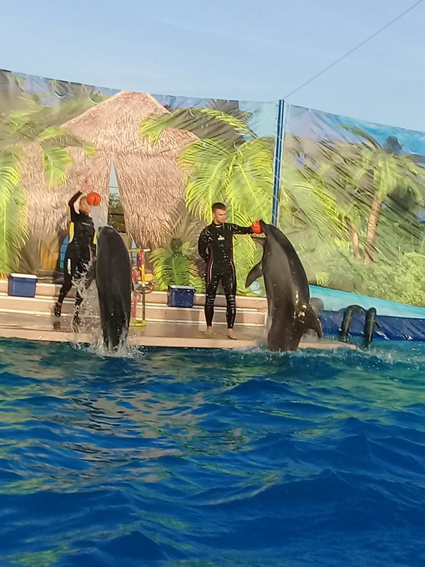 Людмила Сергеева | Пермь