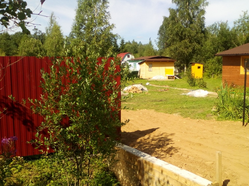 Аля Андреева | Санкт-Петербург