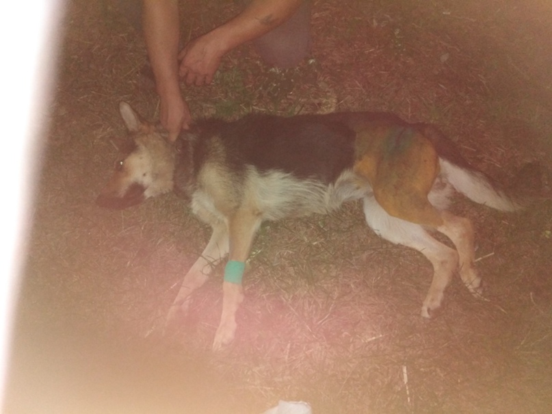 Евгений Сухоруков | Мулловка