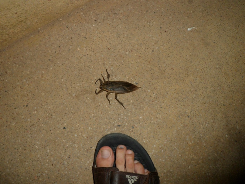 Федя Сумкин | Магнитогорск