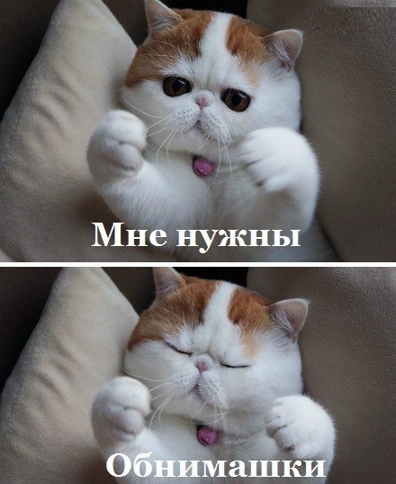 Владимир Бойцов | Санкт-Петербург